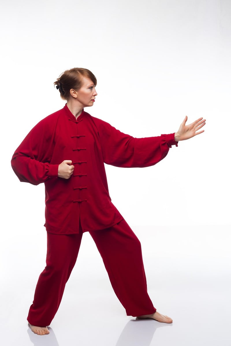 Wild Goose Qigong Practice